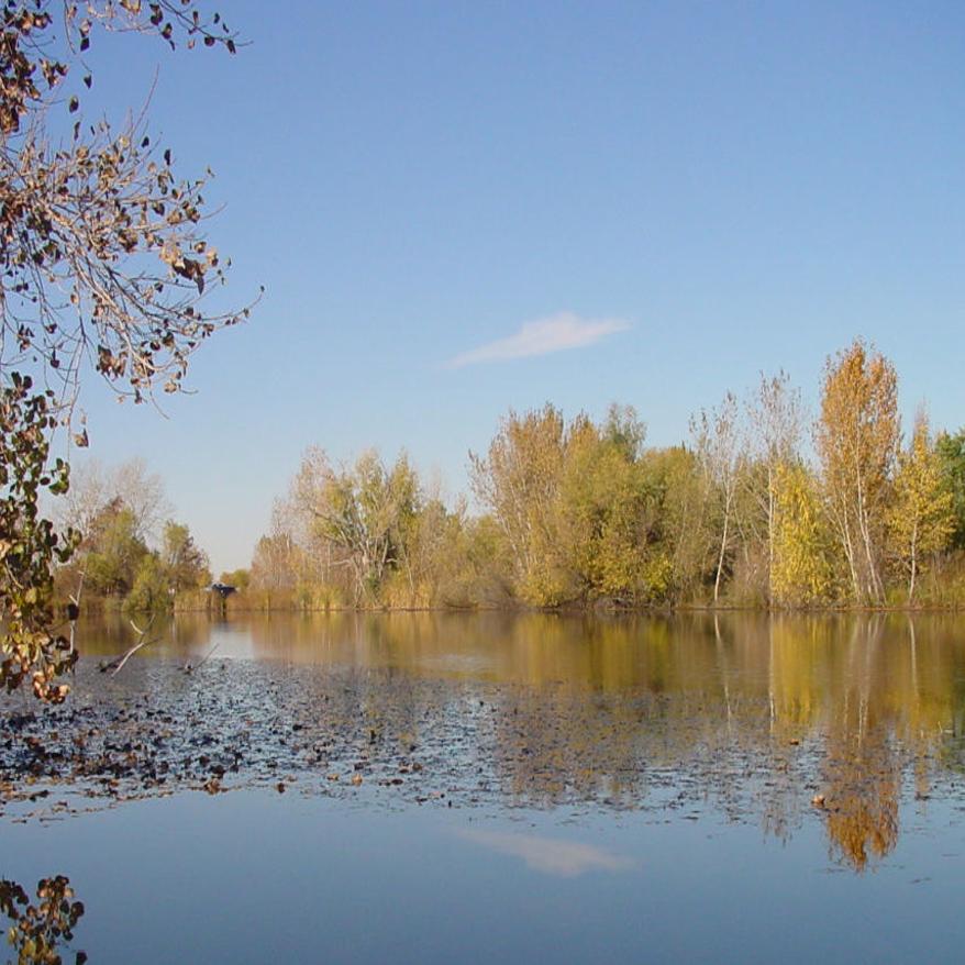 Spring Is Prime Time For Treasure Valley Ponds Outdoors News Idahopress Com