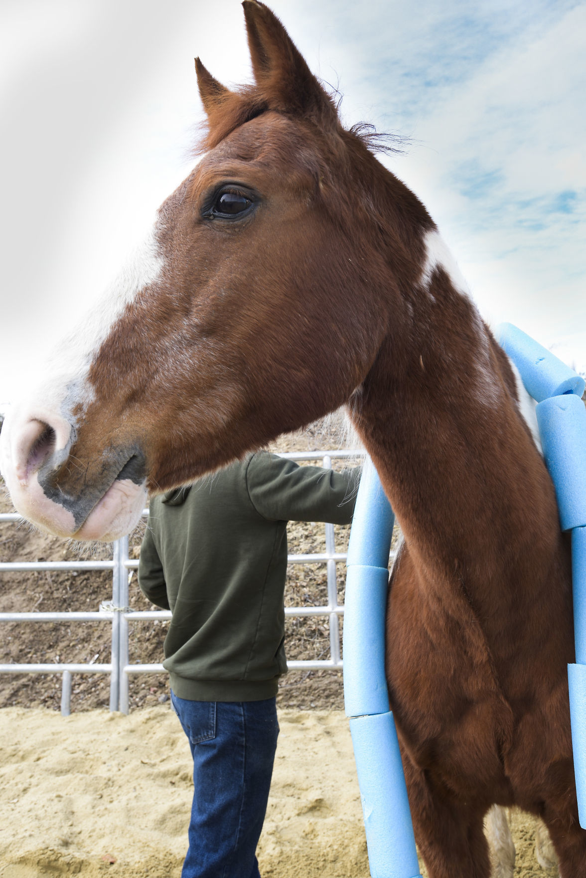 Youth Ranch, Ride for Joy to partner in equine therapy Local News