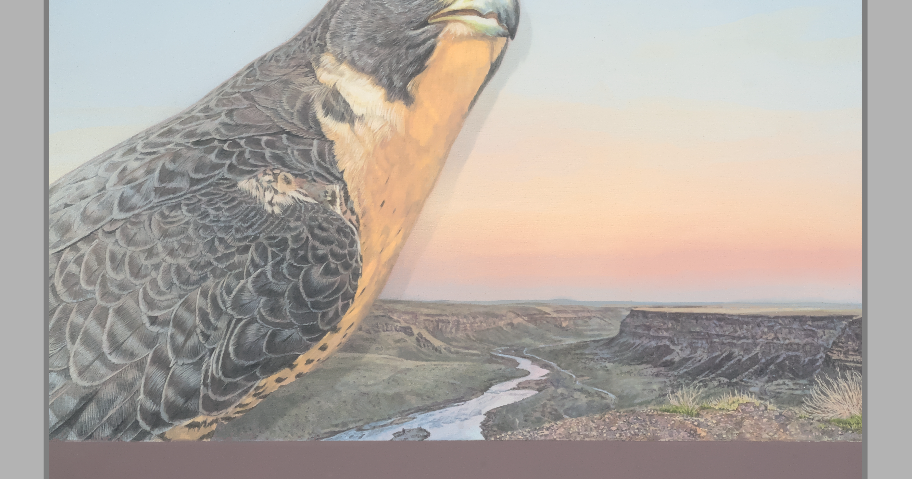 This Boise art show will feature live birds of prey