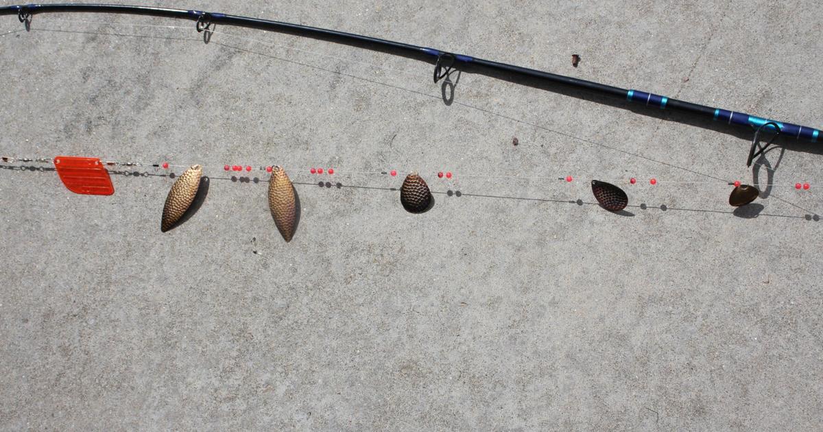 Claycomb: A chance to go fishing for kokanee salmon