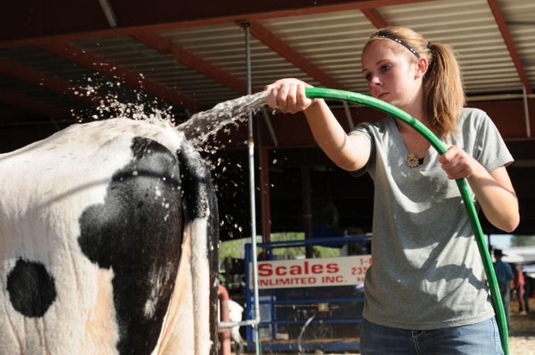 Owyhee County Fair and Rodeo Photos