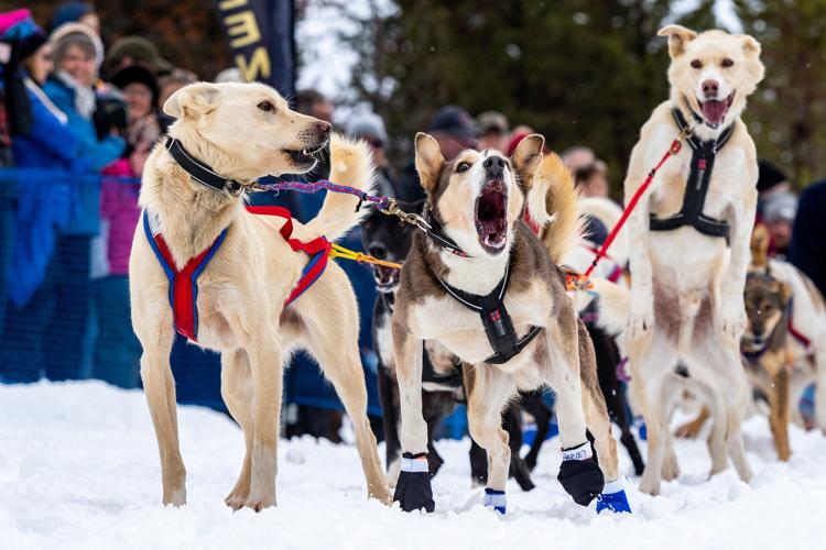 2018 Idaho Sled Dog Challenge