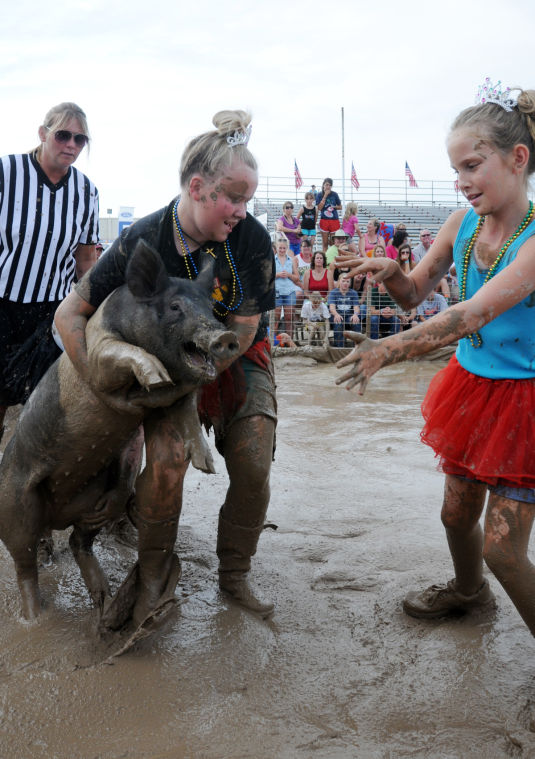 Pig Wrestling at the Fair Photo Gallery