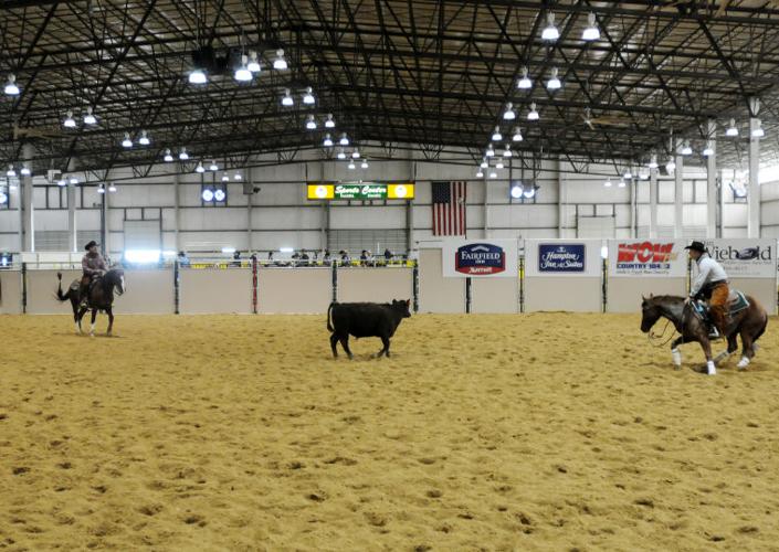 Cutting Horse Event Photo Gallery