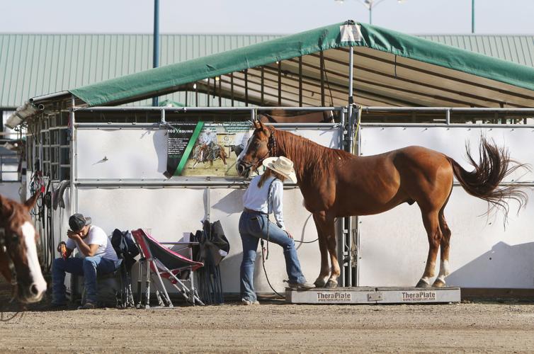 A cut above Cutting horses and riders showcase skills in Nampa Local