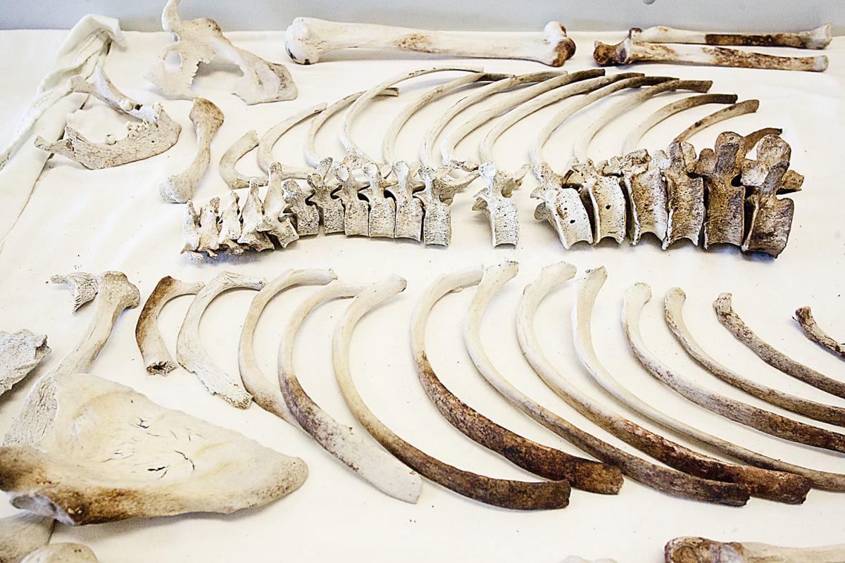 Ada County Coroner's Office