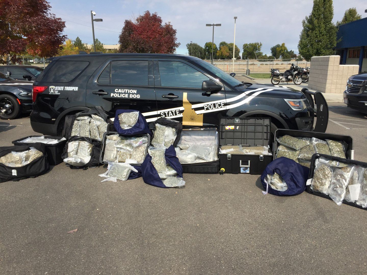 Police seize over 200 pounds of marijuana in drug trafficking ...