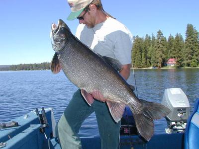 Payette Lake At A Fishing Crossroads Local Sports Idahopress Com