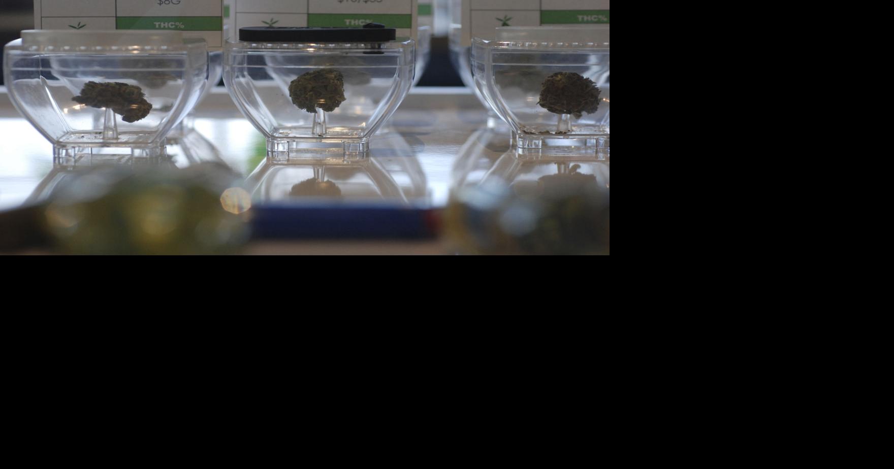Medical cannabis initiative fails to qualify for Idaho’s general election ballot