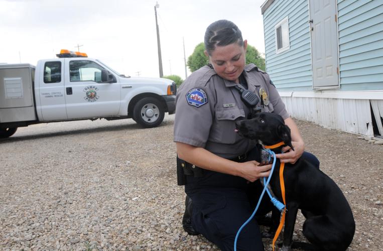 A look to local animal control units | Members 