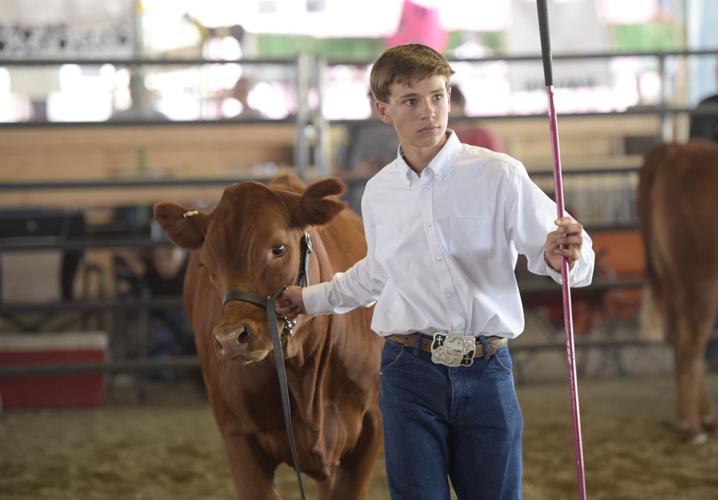 Canyon County Fair announces headliners, parking changes Local News