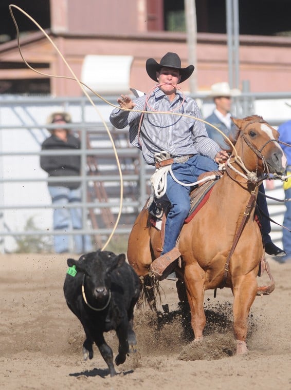 homedale rodeo