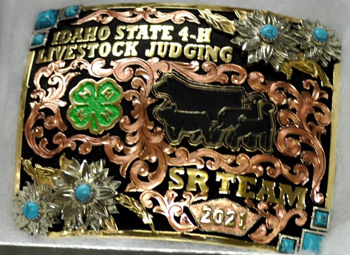 Livestock- Our Livestock buckle has become a favorite! And not just for
