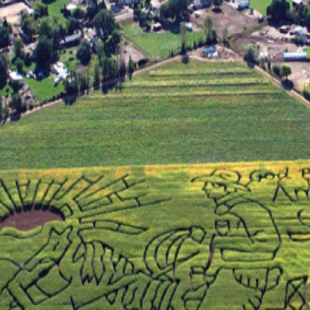 Meridian S Two Corn Mazes Offer Many Attractions Members Idahopress Com