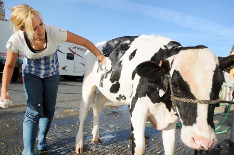 Dairy Days celebration in Meridian continues Idaho’s dairy tradition