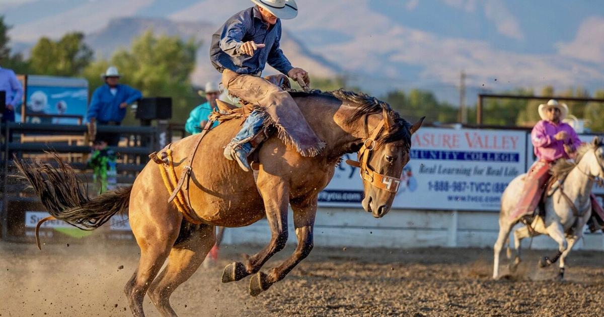 Results from the Gem Boise County ICA Rodeo, August 2023 | Local Sports ...