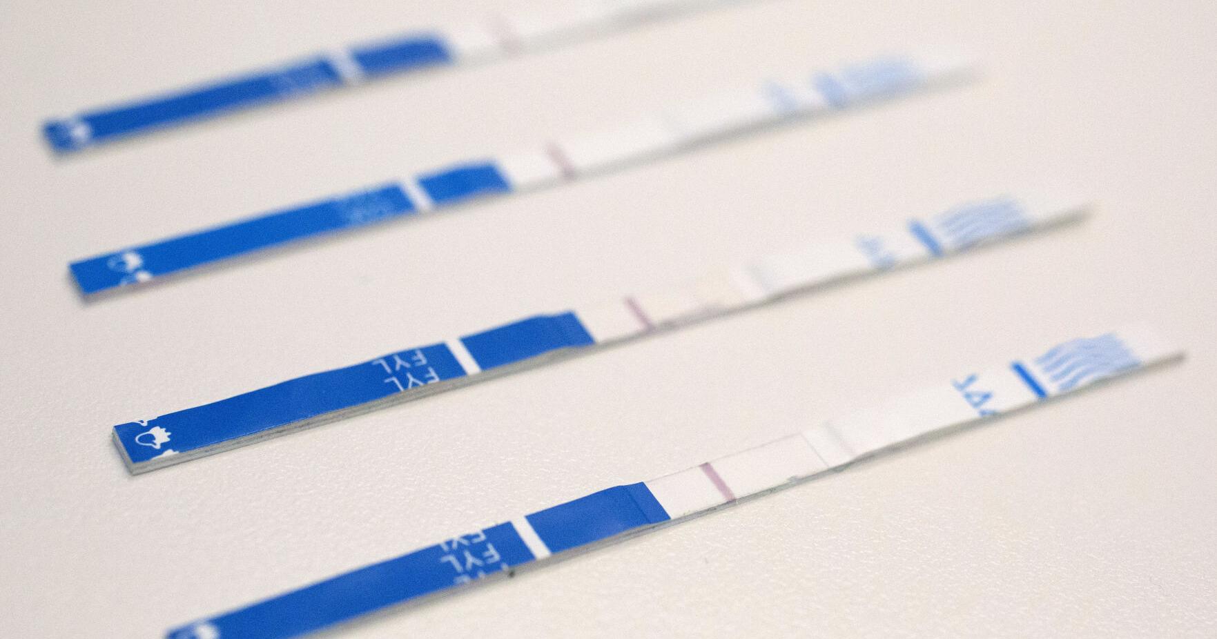 Idaho legalizes fentanyl testing strips - Vimarsana News