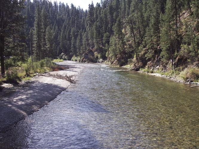 Trout stocking resumes on the South Fork of the Payette River | Community |  idahopress.com