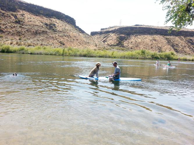 Paddleboards ride the waves to water adventure Outdoors News