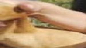 caldwell considers policing pit bulls