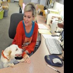 Animal shelter sees changes | Complete news coverage | idahopress.com