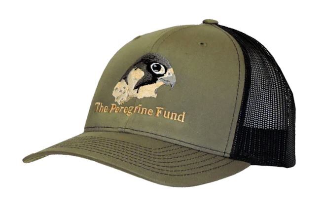 Hats – The Peregrine Fund