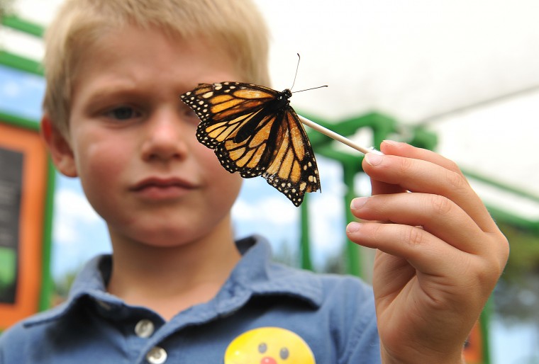 Western Idaho Fair | Photo Gallery | idahopress.com