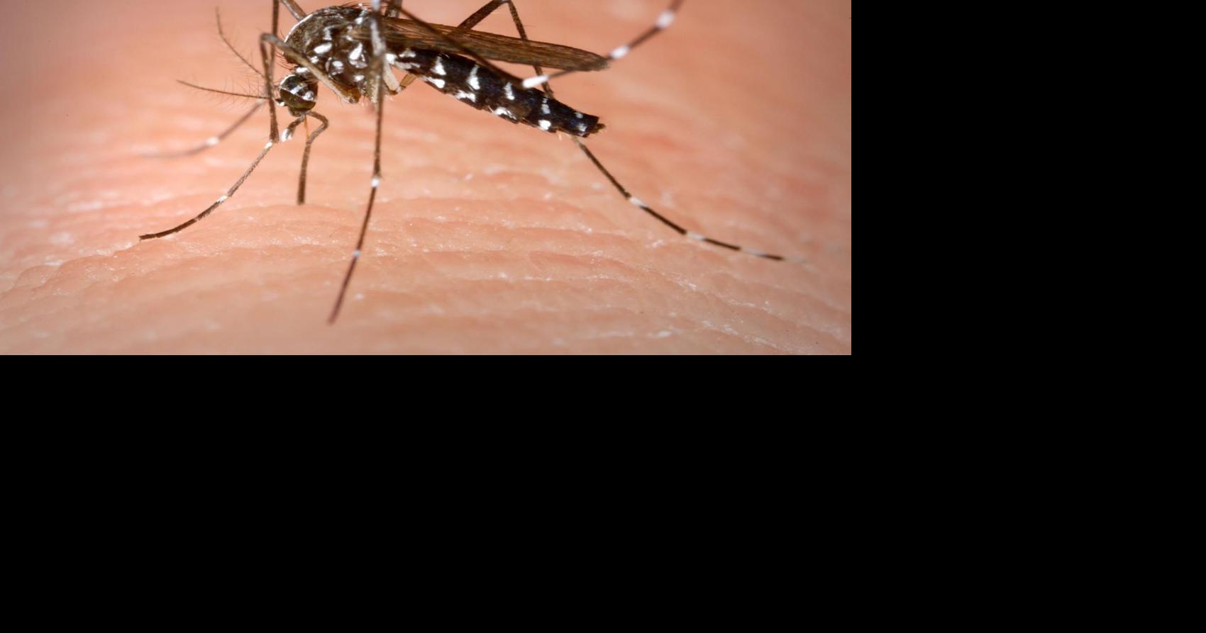 Ada County reports first discovery of West Nile virus for 2026