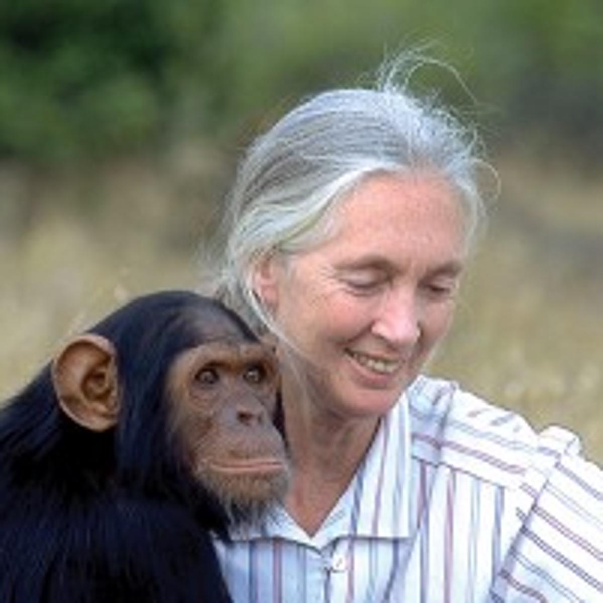Dr. Jane Goodall Boise bound | Community | idahopress.com dr-jane-goodall-boise-bound-community-idahopress-com