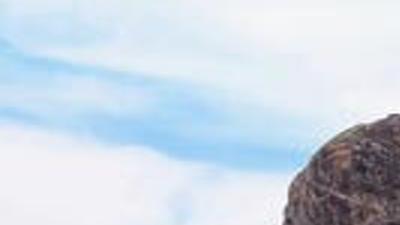 Controlled hunt application period is now open | Local Sports |  idahopress.com