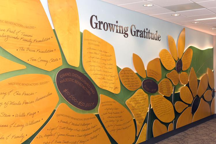 'A long time coming': Saint Alphonsus to open Idaho's first surgical ...