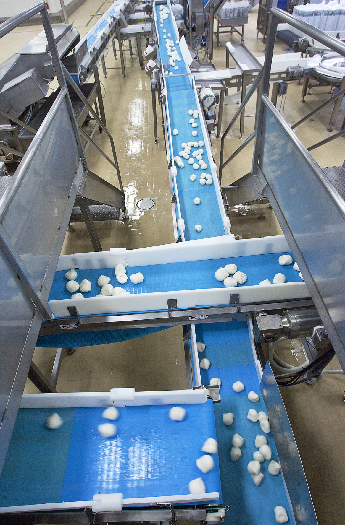 Lactalis cheese factory looks to grow, connect with Nampa community