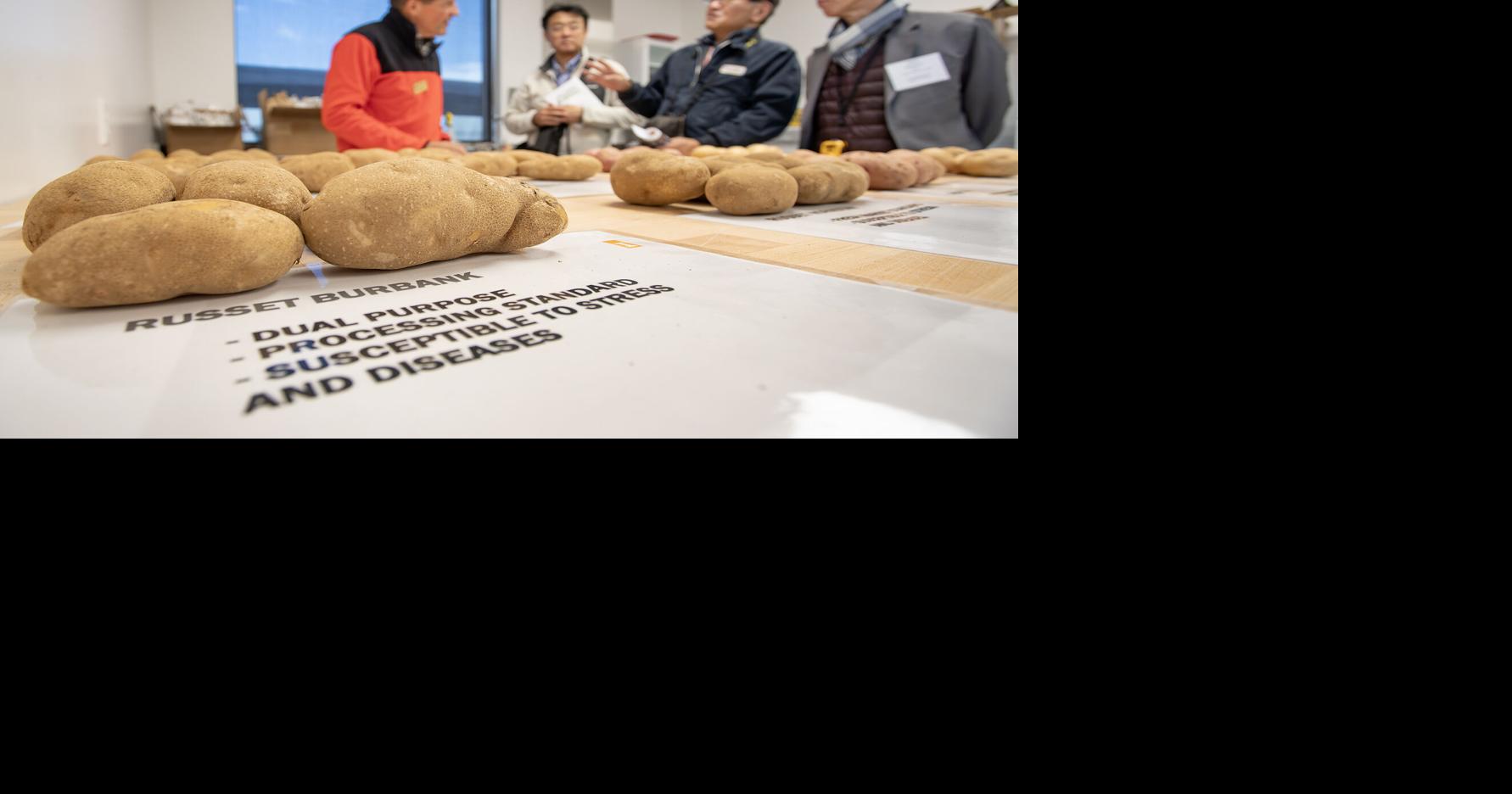 International chefs get schooled on potatoes in Canyon County