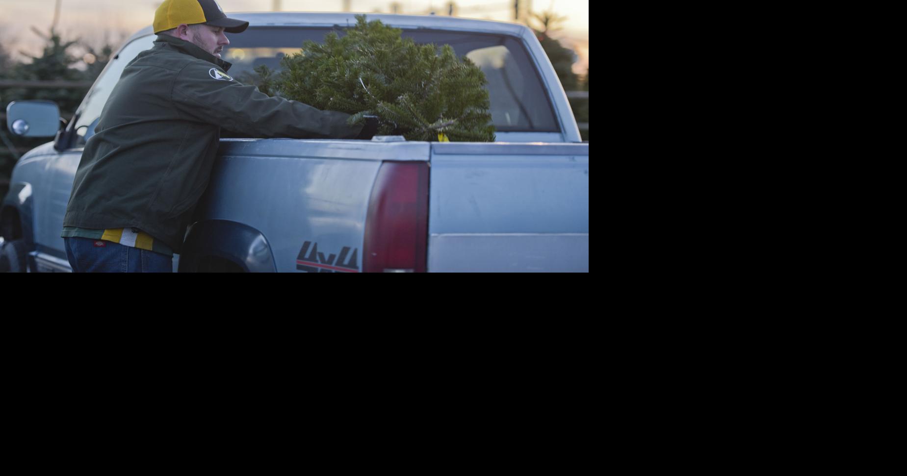 Local Christmas tree lots say business still good despite alternative