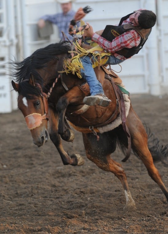 Melba’s Tiegs gets her prized trophy at Homedale rodeo Members