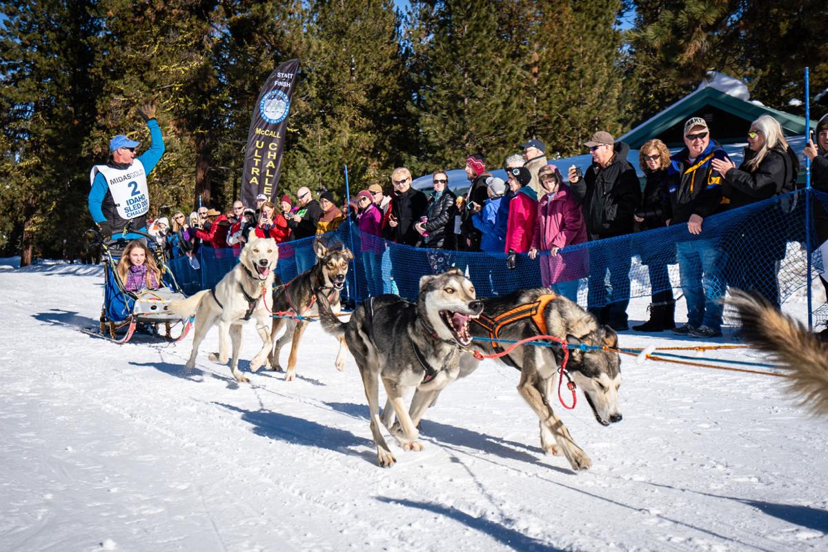 Park City 2022 Christmas Meet The Sleigh Dogs Idaho Sled Dog Challenge Returns Jan. 30-Feb. 3 | Community | Idahopress.com