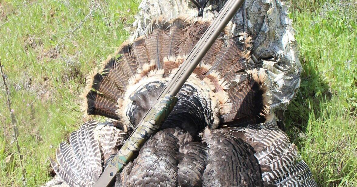 Claycomb turkey hunt