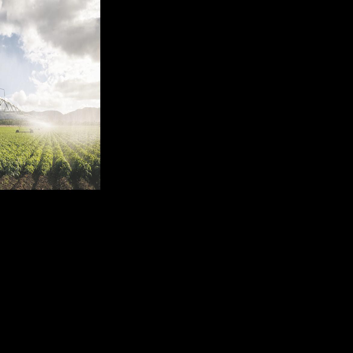 Irrigation show and conference to take place Jan. 10 Local News