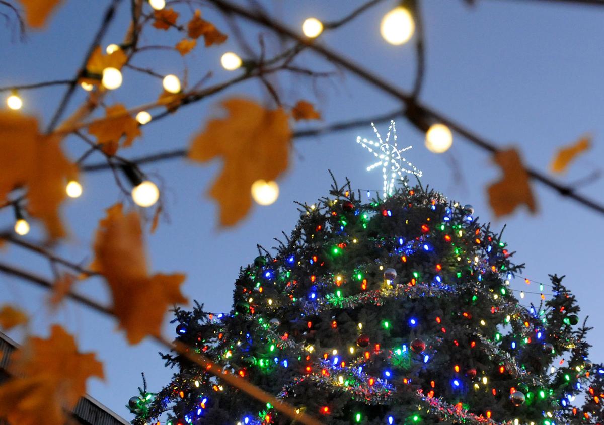 Nampa Christmas Tree Lighting Ceremony Photos