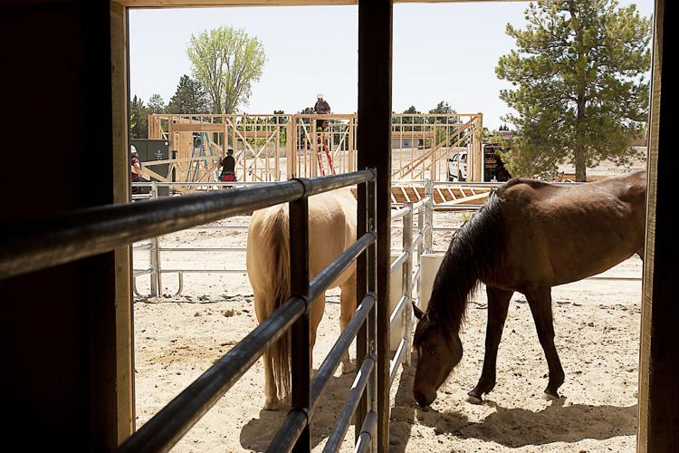 Idaho Youth Ranch opens indoor equestrian center Local News
