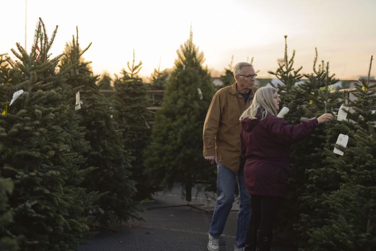 National Christmas tree shortage drives up prices at Canyon County tree