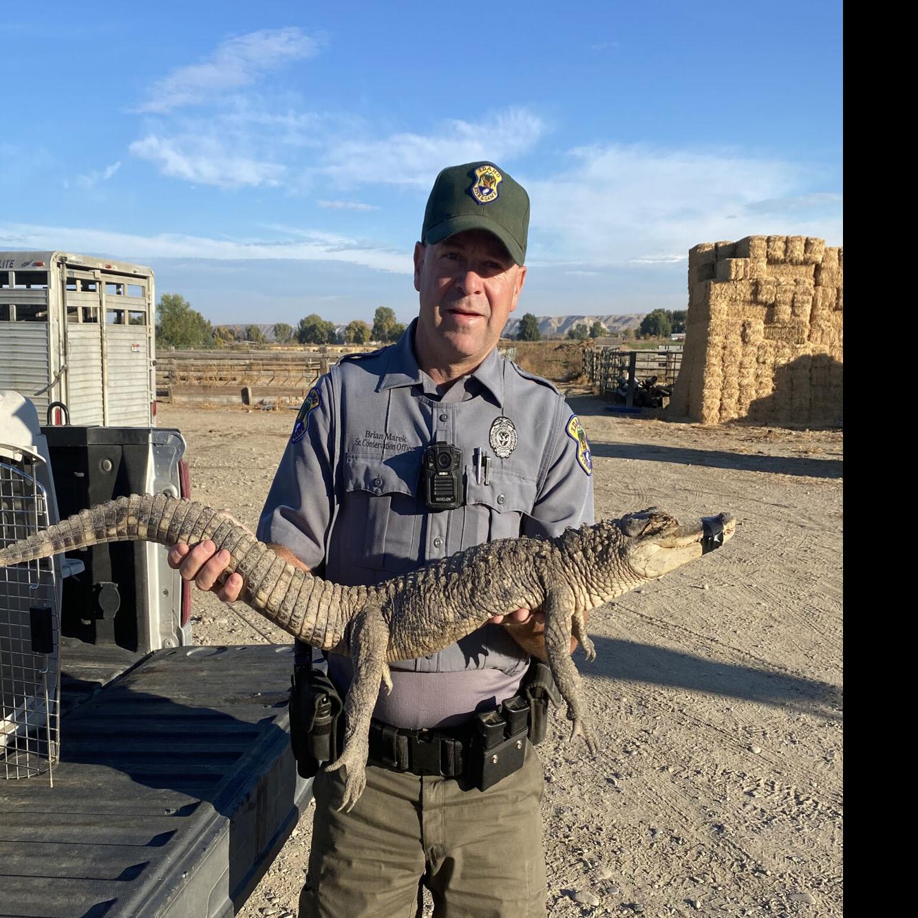 Explore Florida's Glades County: Gators to the left, crocodiles to the  right – Orlando Sentinel