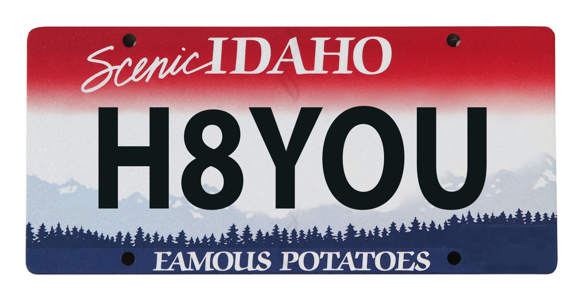 What Idahos rejected vanity plates say about us Local News idahopress photo picture