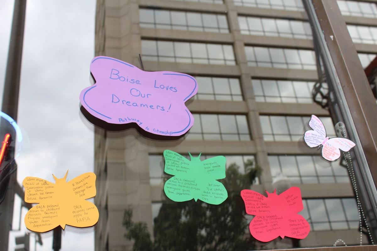 Migration Project butterflies