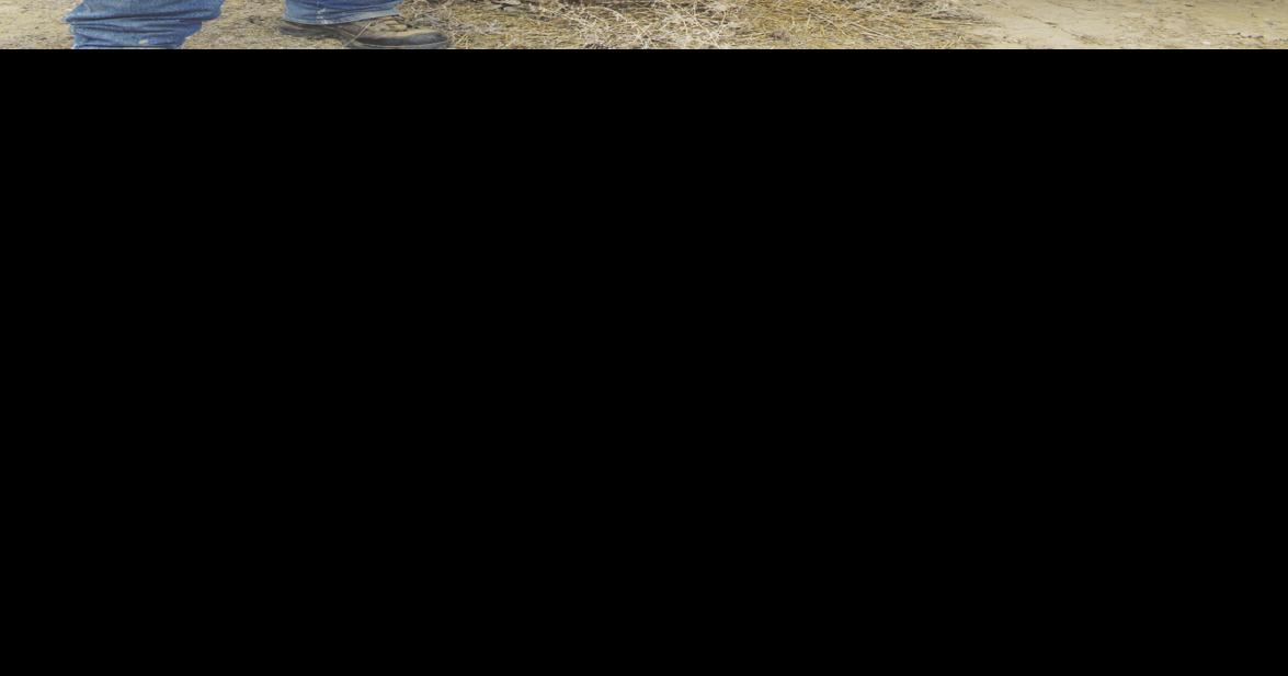 Melba farmer Dave Prow retires, to host equipment retirement auction