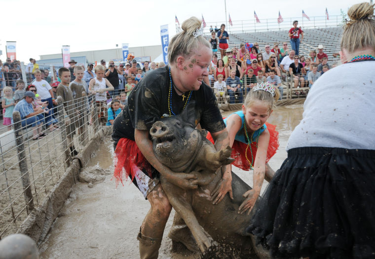 Pig Wrestling at the Fair Photo Gallery