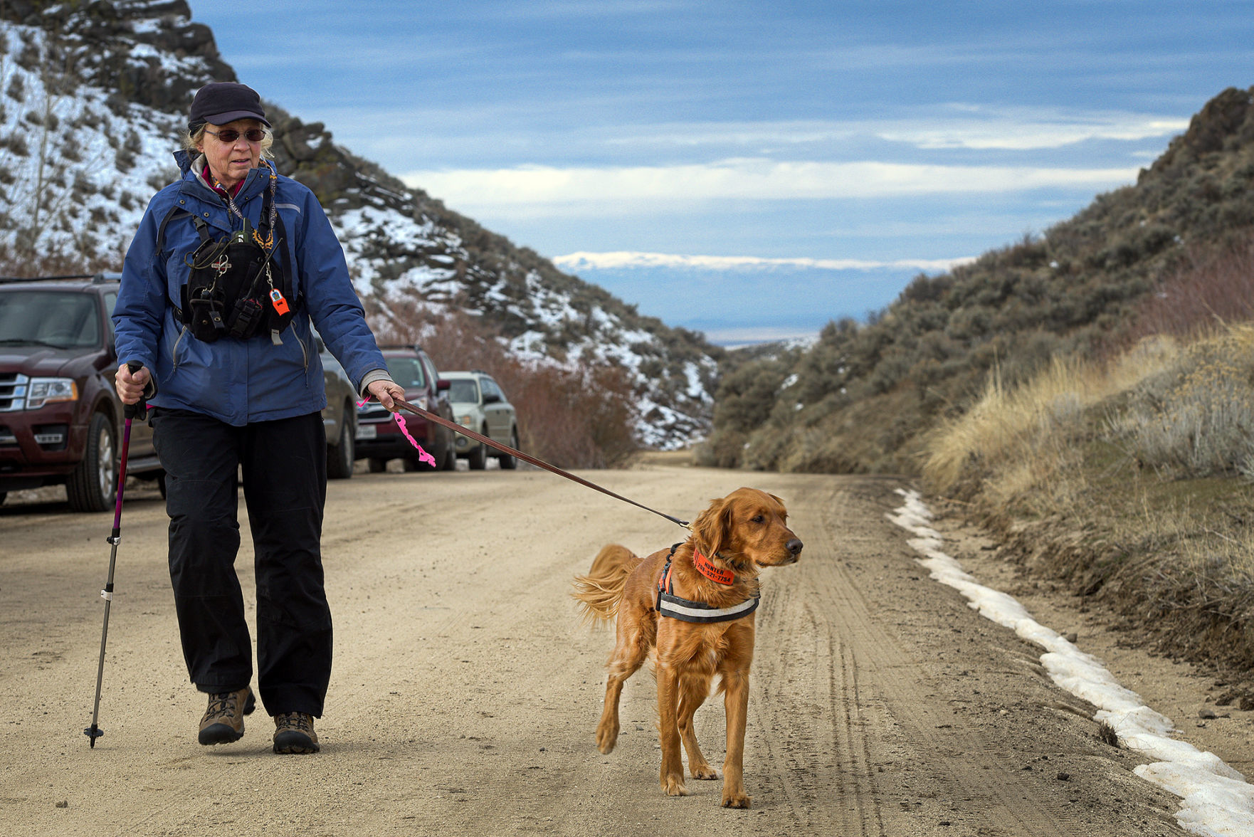 dog search and rescue near me