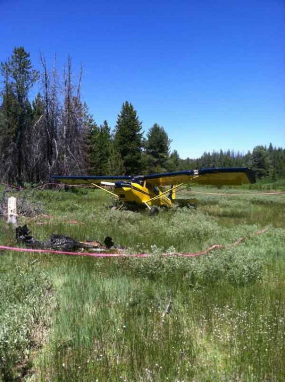 Official 1 dead as small planes collide in Idaho State news