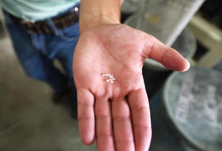 High Country Plastics adds product, plans expansion Members