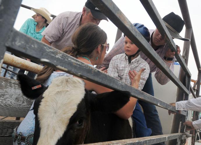 Gem County Rodeo | Photos | idahopress.com